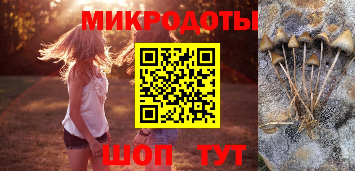 Псилоцибиновые грибы мицелий Ноябрьск