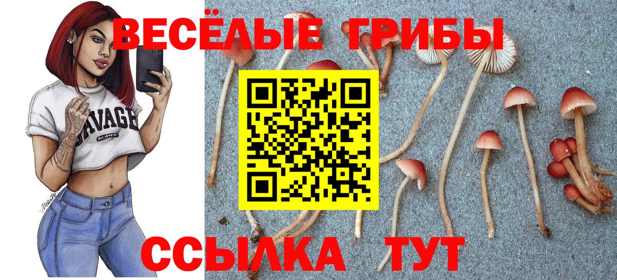 Псилоцибиновые грибы Psilocybine cubensis  Псилоцибиновые грибы MAGIC MUSHROOMS  Вход с VPN  Ноябрьск 