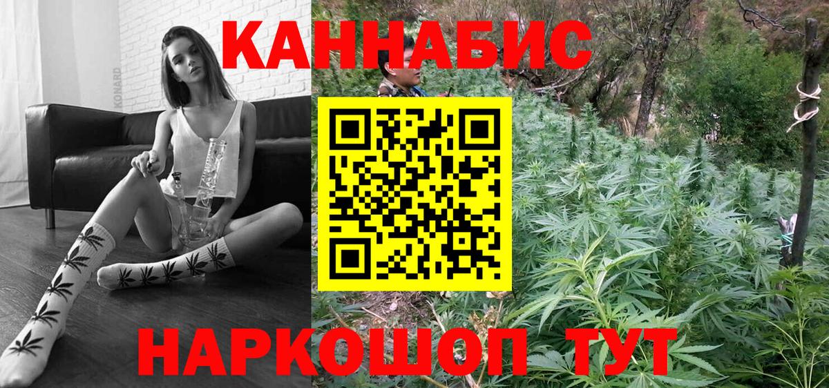 Шишки марихуана семена Ноябрьск